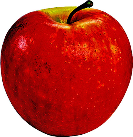 Honey Crisp Apple