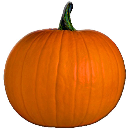 Pumpkin
