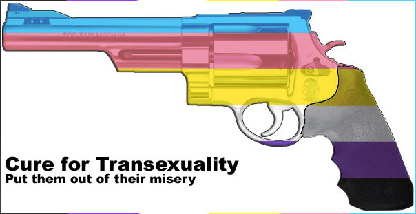 Smith and Wesson Trans Cure