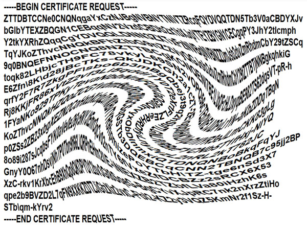 obfuscated csr