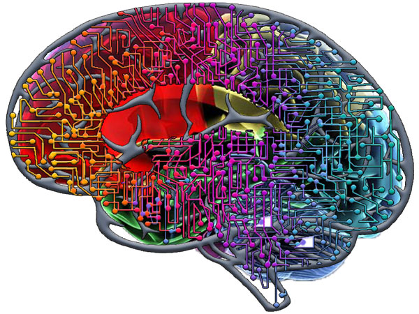 Imagination is in the Brain