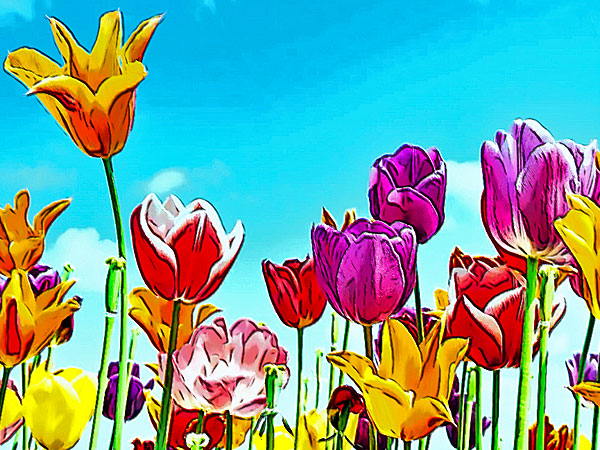 Meterological Spring Flora