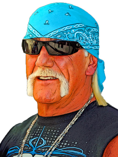 Terry Gene Bollea aka Hulk Hogan