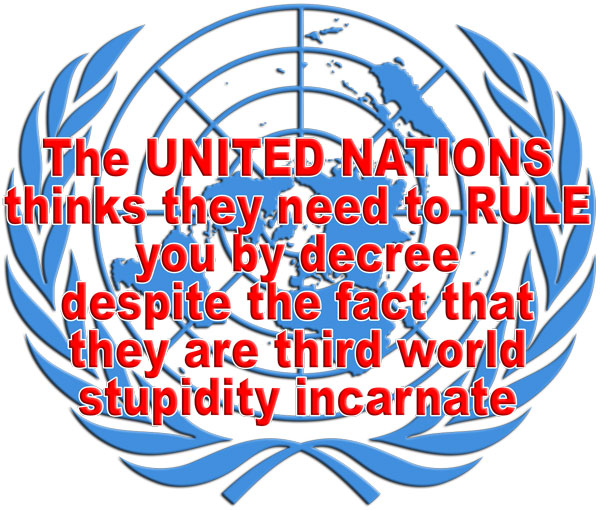 The UN wants to rule you by decree