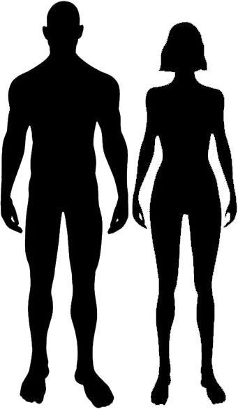 male and female silhouette
