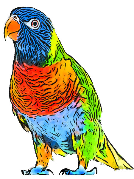parrot
