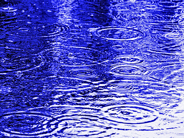 rain puddle