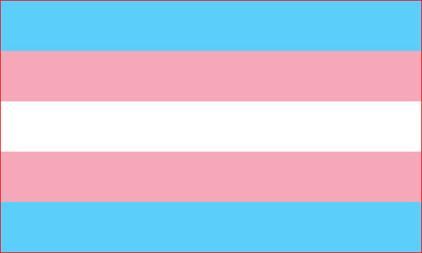 Transgender is a fallacy generated by sick human beings
